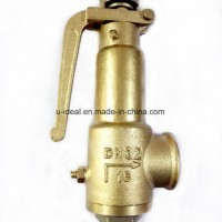 Pressure Reducing Valve for Steam