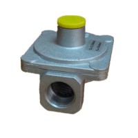 Small Natural Gas Pressure Filter Regulator