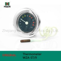 Wza-St/9 Capillary Tube Thermometer Thermometer with 0-120c