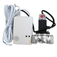 Simple Operation Domstic Gas Alarm with Gas Shut off Valve