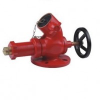 Supply Different Kinds of Landing Valve