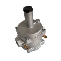 Natural Gas Regulator Gas Filter Regulator (MTGFR01)