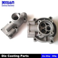 Die Casting Part (BIXDIC2012-6)