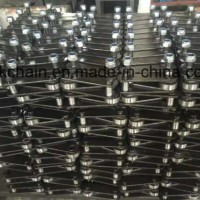 Palm Oil Conveyor Roller Chain P152.4 for Conveyor Machine