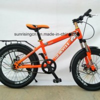 2018 Hot Sales Bicycle/Children Bicycle/Kids Bike 20 Inch with Disc Brake Sr-Kb139