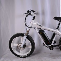 Hot Selling Electric Bike