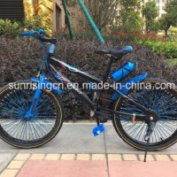 2017 Hot Sales Bicycle 20 Inch Kb140