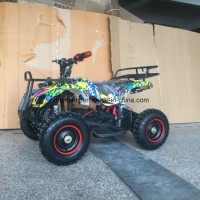 Cheapest Electric ATV Quad with 1000W Motor Eatv002