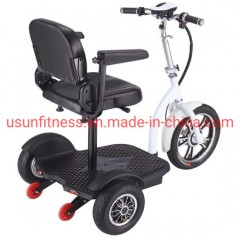 Flexible Ce Approved 3 Wheel Electric Mobility Scooter Electric Vehicle with Double Seats图1