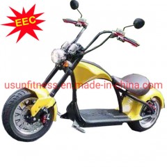 EEC Coc Emark Certified Road Legal Bosch Motor Samsung Battery Powered Electric Motorcycle Scooter图1