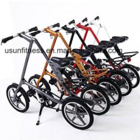 Folding Bicycle with Bag (NY-FB001) for Adult