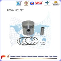 Single Cylinder Water Coolded Piston