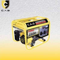 Best Portable Electric 2kw Gasoline Home Power Generator (TF2500)