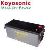 Cell Battery Long Life Wholesale 12V Battery Li Ion Battery 12V