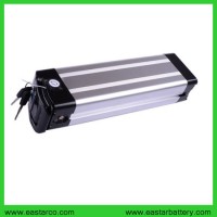 Can Be Customized Size and Li-ion Type 36V Lithium Ion Lithium Battery for Electric Bike