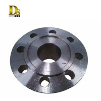 Densen Customized Stainless Steel Flange Forging Centrifugal Pump Flange