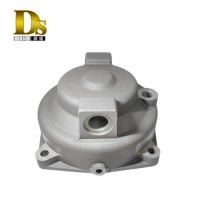 Densen Customized Aluminum Gravity Casting and Machining and Surface Anodizing Break Cylinder Cover