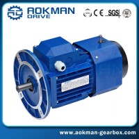 Good Performance Yej Series AC Electrical Brake Motor