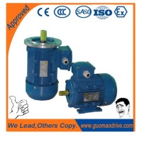 Energy Saving Double Shaft 230/380V B3 Asynchronous Electrical Motor