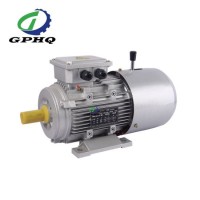 0.18kw to 22kw Yej /Y2ej /Ms3ej Cast Iron and Aluminum Body Brake Motor