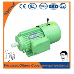 Y2 Series Induction Motor 30kw Foot Mounted Cast Iron Electric Motor图1