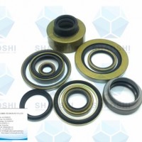 OEM Double Lips Auto Spare Parts Tc Rubber Seal of Grease Seal for Machine Automobile Car