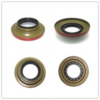 Hta9yr70*142*12/36.3 Oil Seal for Auto Spare Parts