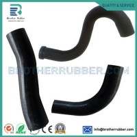 OEM Pch501720 11729101613 Upper Engine Coolant Radiator Hose for Range Rover 06-09 4.4L Cooling Syst