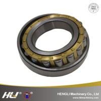 Nu Type Single Row Industrial Cylindrical Roller Bearing