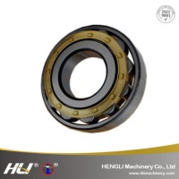 Suitable Variation High Performance Cylindrical Roller Bearing