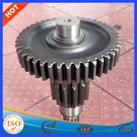 China Made Professional Customized Different Shape Gear