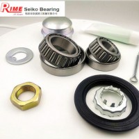 Complete Kits Auto Bearing with Kits 191598625 SKF Bearing Vkba529 Meyle Bearing 1005980101