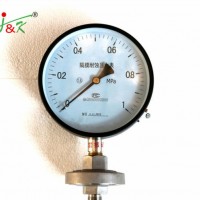 100mm Plastic Case Diaphragm Pressure Gauge of 2.5MPa