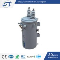 13.2kv Single Phase Oil Immersed Distribution Transformer