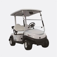 Pure Electric Golf Cart with Aluminium Alloy Chassis and Cheap Price