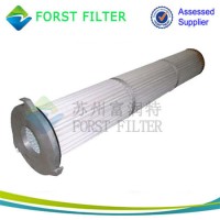 Forst Powder Convey Pleated Bag Cartridge Filter