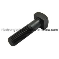 Square Head Bolt Screw with Black Oxid