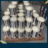 Stainless Steel Galvanized Iron Wire for Scourer Material