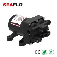 Seaflo Low Voltage Mini DC Water Pump