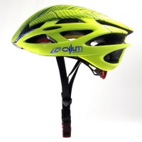 Custom Mountain Bike/Motorcycle Helmets