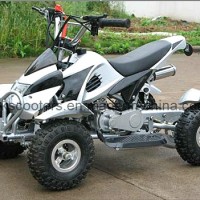 Best Christmas Gift 49CC Mini Gas Powered ATV (YC-5002)