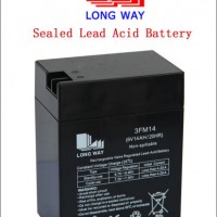 3FM14 AGM Maintenance Free Gel Battery for Backup Power