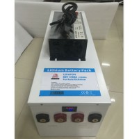 LiFePO4-60V120ah Battery for Auto Richshow