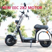 Citycoco 2 Wheel Electric Scooter