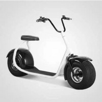 1500W Electric Scooter Halley Scooter Hot Sale ATV Scooter with Big Wheel