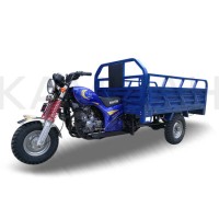 Tricycle 150cc Motor Trike Three Wheel Tricycle Gasoline Tricycle Motorcycle Cargo Loader Q1