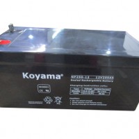 12V250ah Sealed Lead Acid Battery / VRLA AGM Battery/UPS Storage Battery