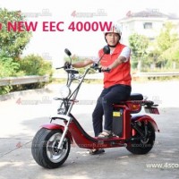 2020 New 4000W Citycoco Suppliers EEC Coc