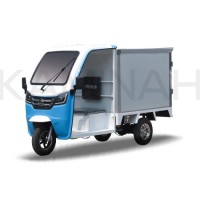 DC800/1000/1200W Electric Tricycle for Passanger Three Wheel Electric Trike Tuk Tuk Bajaj Rickshaw T