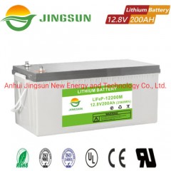 12V 100ah 200ah Lithium Ion Rechargeable LiFePO4 Lithium Battery Power Bank Supply图1